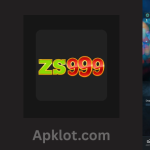 Zs 999 Game
